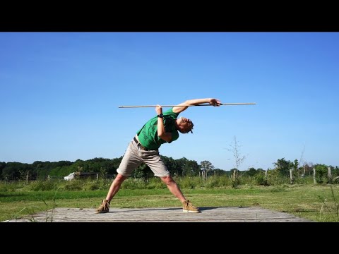3.2 Qigong stick Longevity: The bird flying