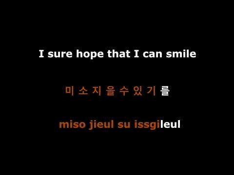 gregor limbus company pass on karaoke (with vocal)