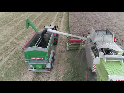 Landwirtschaft in Schleswig-Holstein Rapsernte 2019 Ottendorf