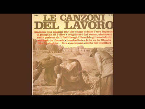 Sciur padrun da li belio braghi bianchi