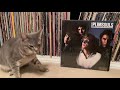 The Plimsouls - Lost Time (1981)