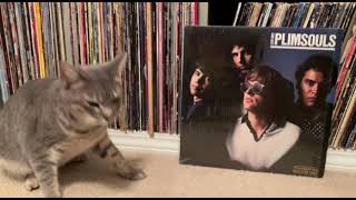 The Plimsouls - Lost Time (1981)