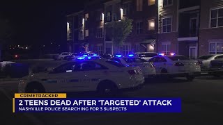 2 teens dead after 'targeted' shooting at Hermitage apartment complex, police say