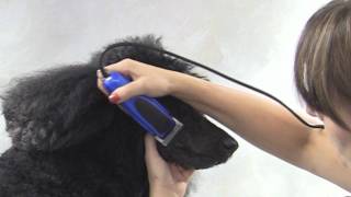 Easy Clip Versa - Blue