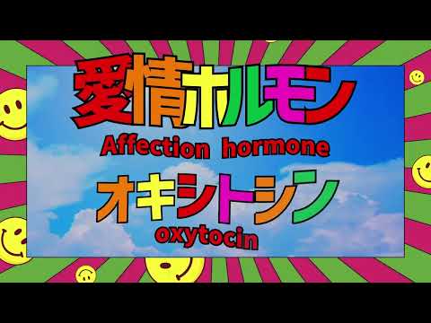Video thumbnail for Happy Hormones