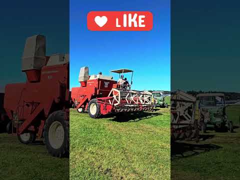 INTERNATIONAL 431 Mähdrescher | In Aindorf bei Pittenhart 2025