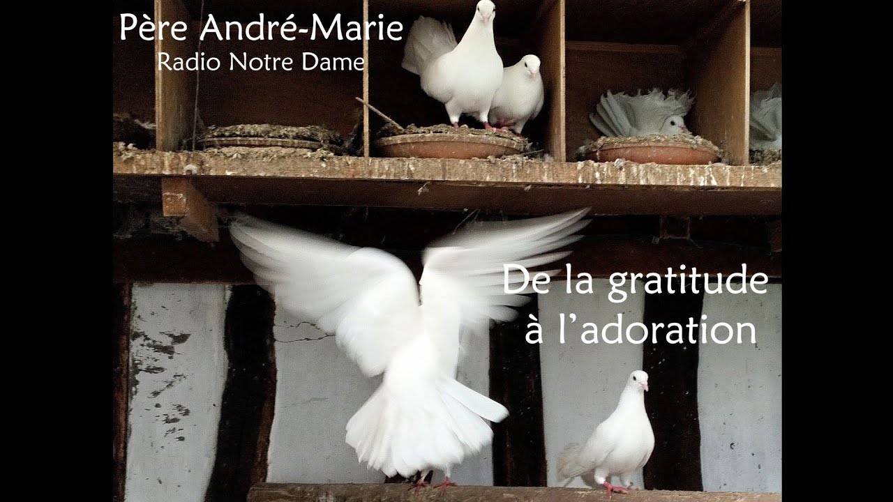 Père André-Marie, De la gratitude à l'adoration (Radio Notre Dame)