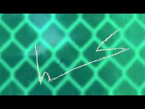 Fstlyf by 40+. Slow it down just a little bit. KDIN/WillyGo Music