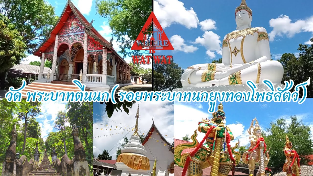 วัดพระบาทตีนนก