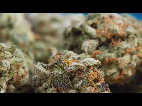 Utah family in need of medical cannabis for their son is moving to Colorado