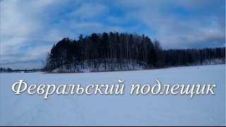 Ловля подлещика в феврале на озере