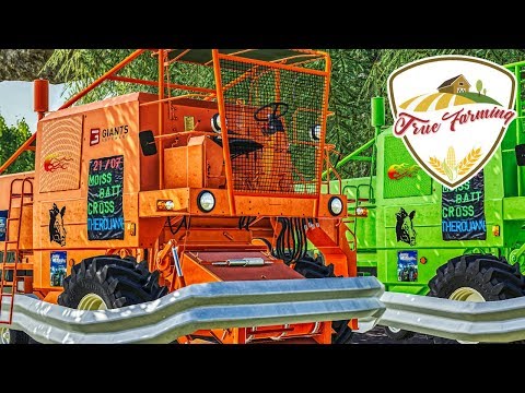 LS19 True Farming #584 - OFFROAD RALLY! Drescher und MBTrac an der Grenze | Farming Simulator 19