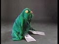 Sesame Street Fay Ray Animal Disguises