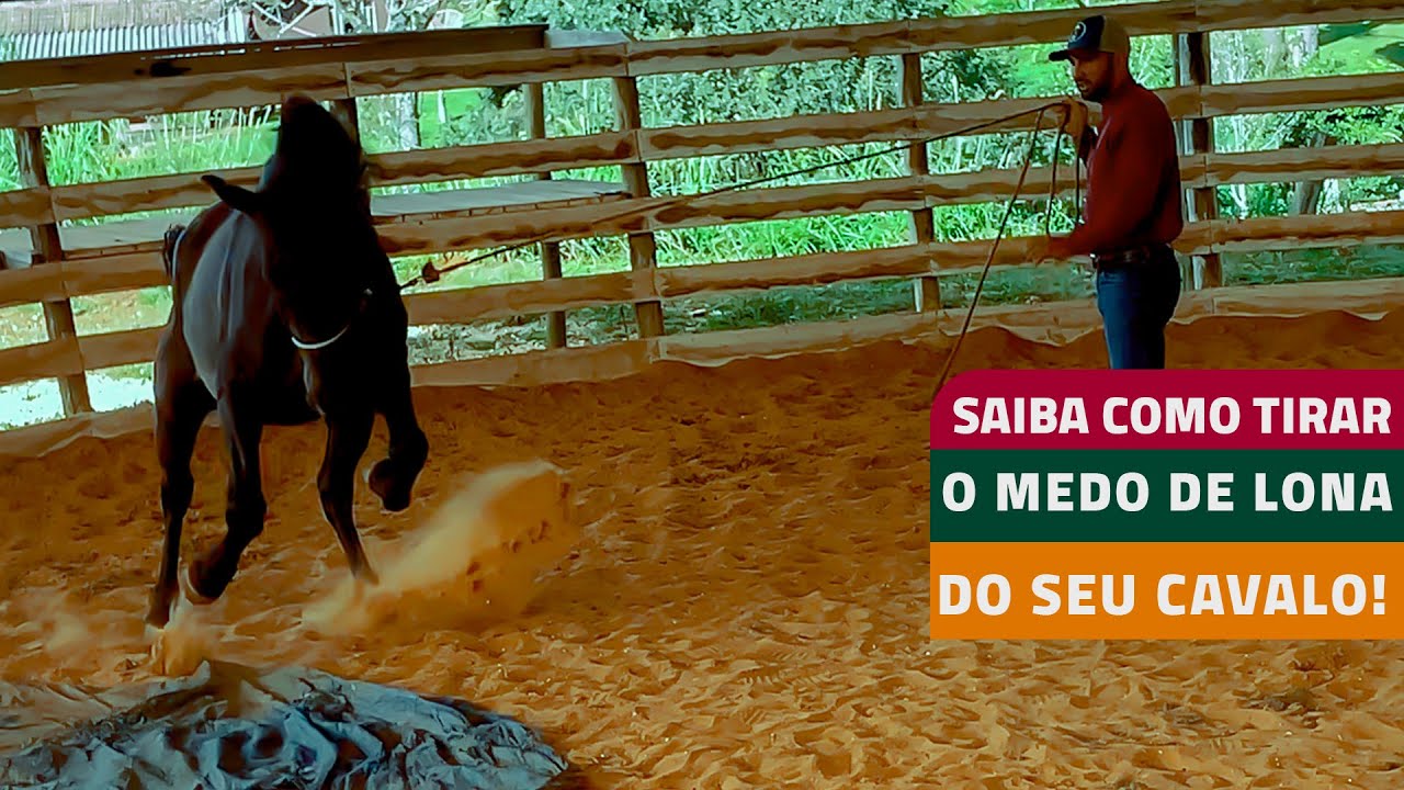 SAIBA COMO TIRAR O MEDO DE LONA DO SEU CAVALO!