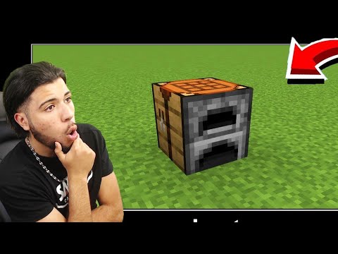 These Minecraft bugs are really cool!  (Long live the Minecraft bugs)