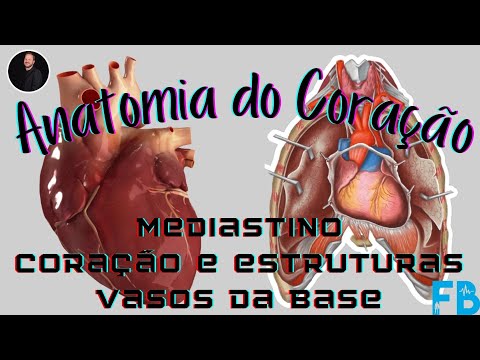 "Aula de Anatomia do Sistema Cardiovascular: Coração"