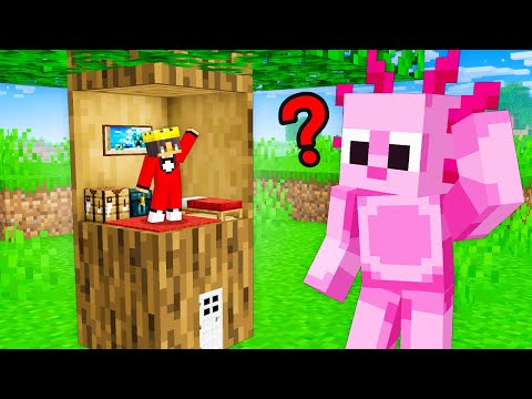 I Pranked My Friends With TINY MOD in Minecraft!