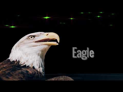 download lagu mp3 mp4 Eagle Symbolism Native American, download lagu Eagle Symbolism Native American gratis, unduh video klip Eagle Symbolism Native American