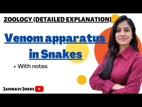 Venom apparatus in snakes (Notes) Bsc 2nd year Zoology