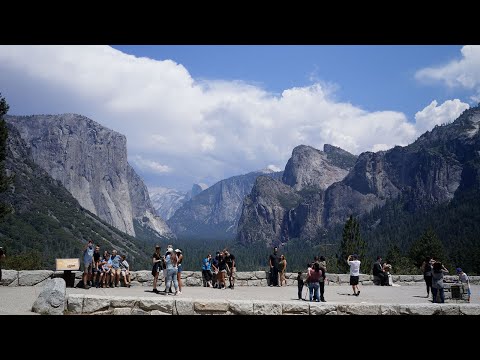 One Day in Yosemite (Summer)