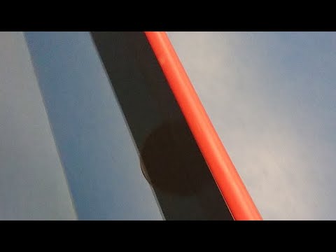 Tu Lions - Haki 10.2.2019