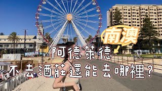 VLOG-02澳洲南澳-阿德萊德🍷真的很無聊嗎？『粉紅湖。天空之鏡。看海豚？。還有我愛的德國村。最該吃的豬肋排🍖』