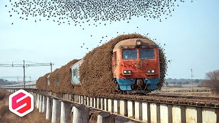 Download lagu 50 Fenomena Alam Paling Misterius: Ada yang Indah, Ada yang Mematikan! mp3