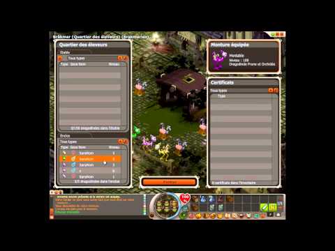 comment faire des bb dd dofus