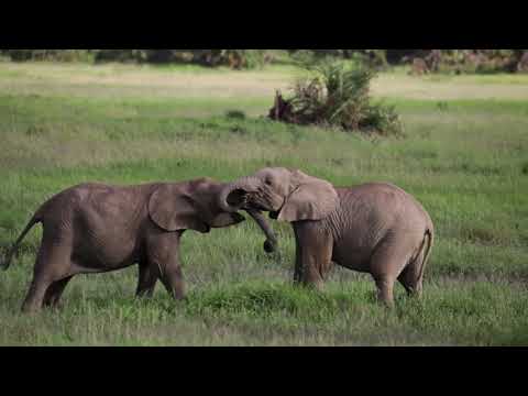 Karibu Kenya