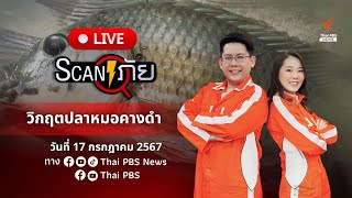 วิกฤตปลาหมอคางดำ  | สแกนภัย | 24 ก.ค. 67