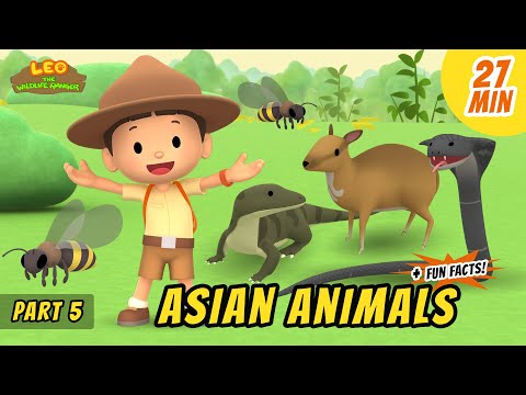 Asian Animals (Part 5/7) - Animals Stories for Kids | Educational | Leo the Wildlife Ranger