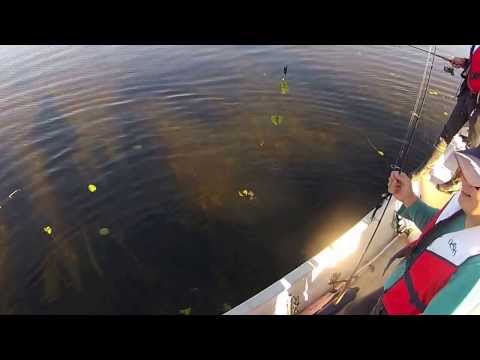 Kalastaja nappaa +10 kg hauen - Opas sekoaa - Iha rauhas vaa - Spintube - Eumer