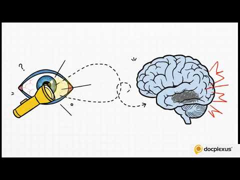 When Seconds Matter: Systematic Evaluation of the Comatose Patient