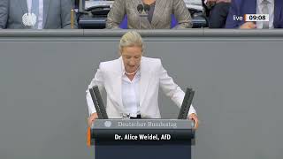 Altparteien blamieren sich im Bundestag: Alice Weidel rechnet ab - Merz kann nicht mehr