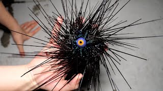 エイリアンみたいな毒ウニ食べてみた
