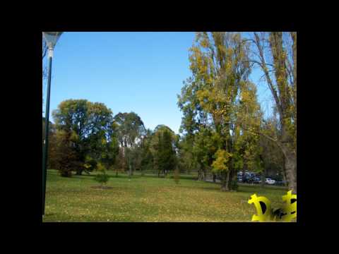 Drifta - Sweet Louisa (Feat. Abbi)