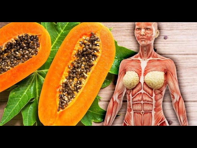 3 كرتون بابايا (عنبرود) 15 كيلو