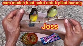 Download lagu Cara mudah buat pulut untuk pikat burung yang terbuat dari karet gelang dengan permen karet mp3