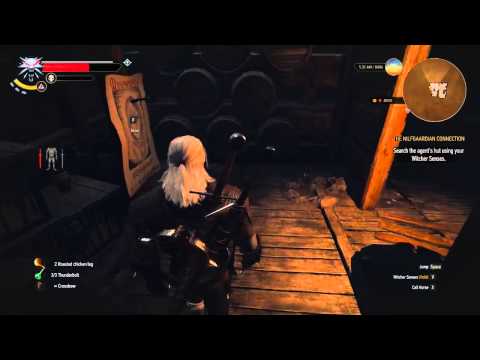 The Witcher 3  - The Nilfgaardian Connection