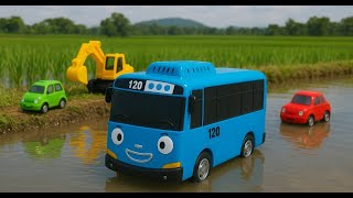 Bus Tayo dan Teman-Temannya Bermain di Sawah 🌾🚍💦