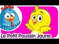Le Petit Poussin Jaune Poulette Petit Pois France Canadá
