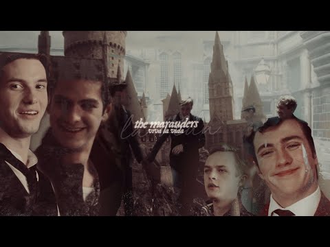 ● the marauders | viva la vida