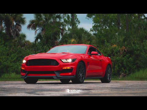 Stase, Vedde - Moments