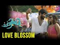 Love Blossom Dulquer Salmaan Charlie Malayalam Movies Sun NXT Malayalam
