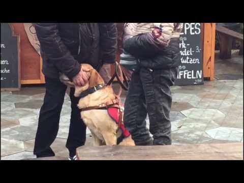 PTBS Assistenzhund, Soldatenhund Team Echo Sierra
