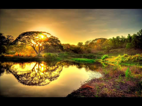 Justinas Lapatinskas - Vėjo mylimoji (Tu nemyli manęs)