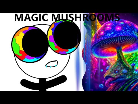 Erstes mal Magic Mushrooms
