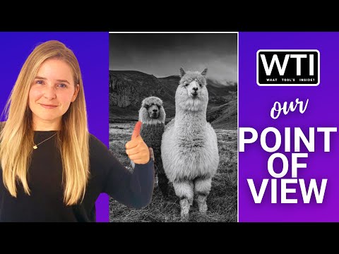 AOMACA Llama Posters - WTI product video review