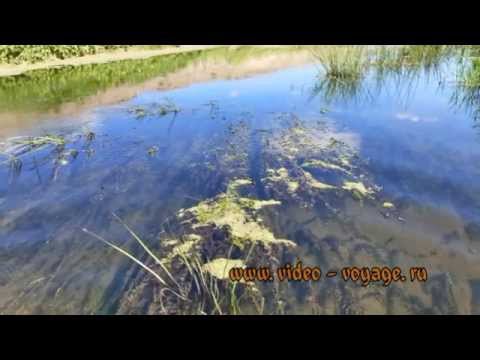 Иловля река