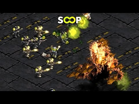 SCSL S3 Ro32 Grupo D (Sharp vs 815) y (sSak vs Ruin)